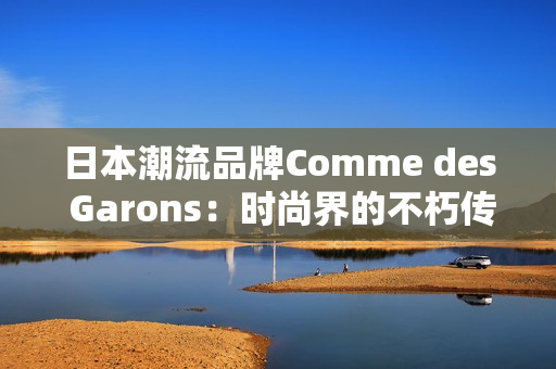 日本潮流品牌Comme des Garons：时尚界的不朽传奇