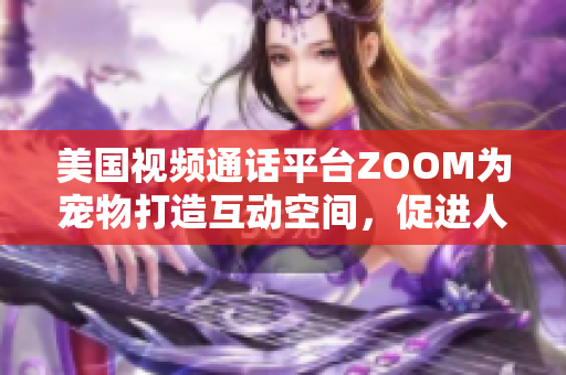 美国视频通话平台ZOOM为宠物打造互动空间，促进人与动物之间的情感交流