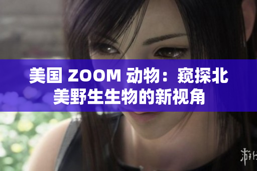 美国 ZOOM 动物：窥探北美野生生物的新视角