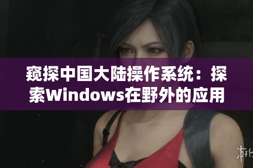 窥探中国大陆操作系统：探索Windows在野外的应用与发展