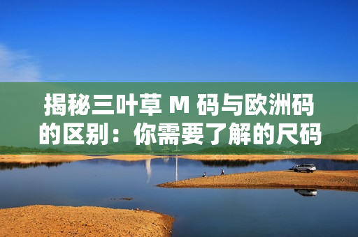 揭秘三叶草 M 码与欧洲码的区别：你需要了解的尺码知识