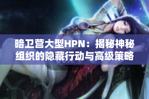 暗卫营大型HPN：揭秘神秘组织的隐藏行动与高级策略