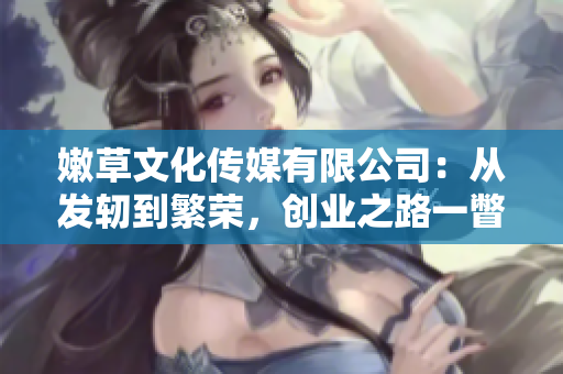 嫩草文化传媒有限公司：从发轫到繁荣，创业之路一瞥