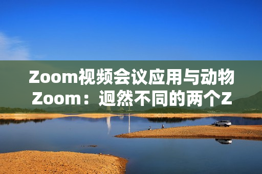 Zoom视频会议应用与动物Zoom：迥然不同的两个Zoom世界