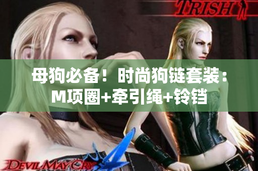 母狗必备！时尚狗链套装：M项圈+牵引绳+铃铛