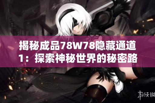 揭秘成品78W78隐藏通道1：探索神秘世界的秘密路径