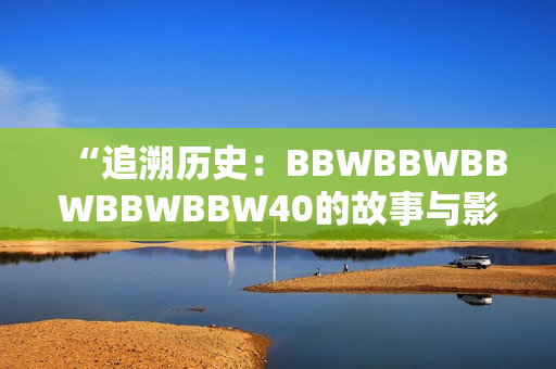 “追溯历史：BBWBBWBBWBBWBBW40的故事与影响”