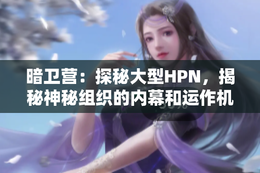 暗卫营：探秘大型HPN，揭秘神秘组织的内幕和运作机制