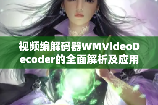 视频编解码器WMVideoDecoder的全面解析及应用指南