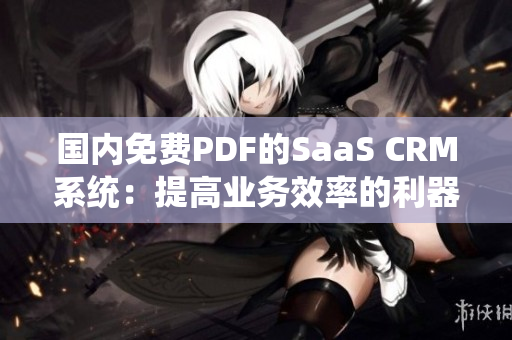 国内免费PDF的SaaS CRM系统：提高业务效率的利器