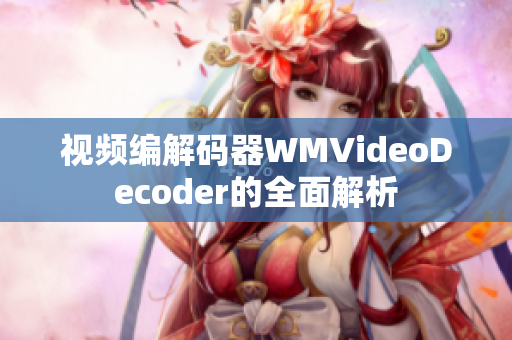 视频编解码器WMVideoDecoder的全面解析