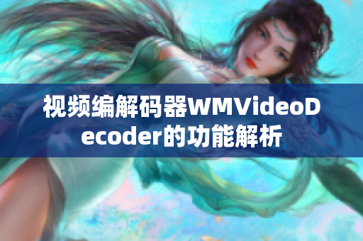 视频编解码器WMVideoDecoder的功能解析