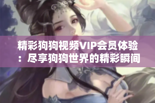 精彩狗狗视频VIP会员体验：尽享狗狗世界的精彩瞬间和专属服务