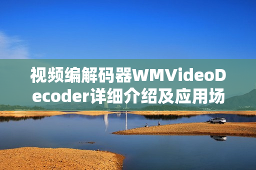 视频编解码器WMVideoDecoder详细介绍及应用场景分析