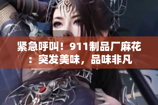 紧急呼叫！911制品厂麻花：突发美味，品味非凡