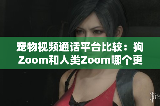 宠物视频通话平台比较：狗Zoom和人类Zoom哪个更适合你和你的宠物？