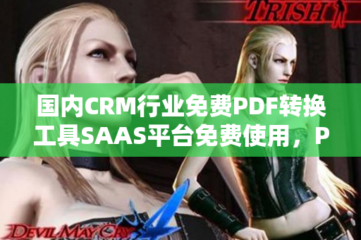 国内CRM行业免费PDF转换工具SAAS平台免费使用，PDF转化一键完成