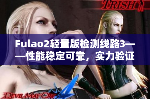 Fulao2轻量版检测线路3——性能稳定可靠，实力验证的首选！