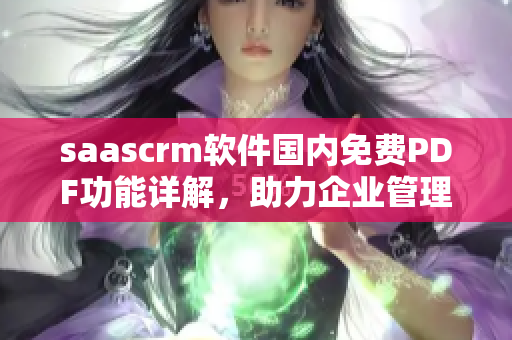 saascrm软件国内免费PDF功能详解，助力企业管理操作提升