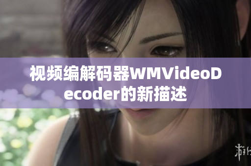 视频编解码器WMVideoDecoder的新描述