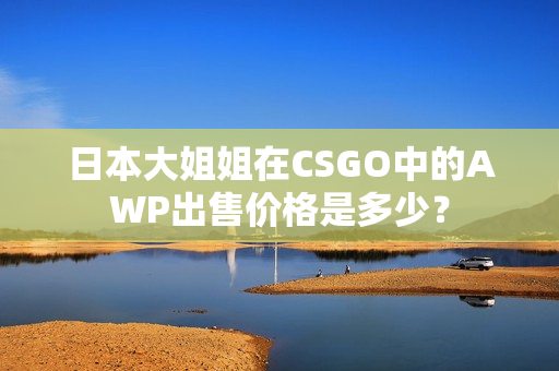 日本大姐姐在CSGO中的AWP出售价格是多少？