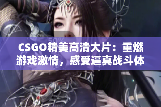 CSGO精美高清大片：重燃游戏激情，感受逼真战斗体验