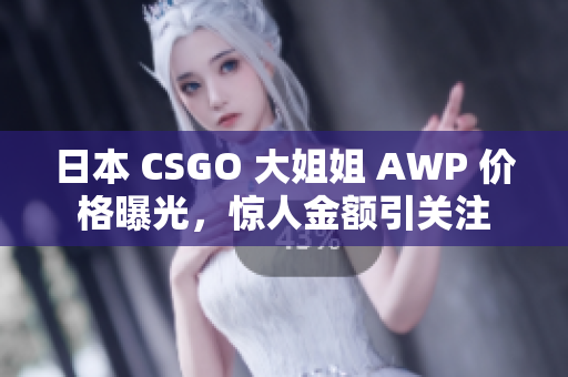 日本 CSGO 大姐姐 AWP 价格曝光，惊人金额引关注