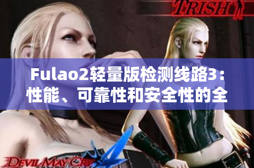 Fulao2轻量版检测线路3：性能、可靠性和安全性的全面评估