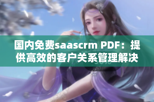 国内免费saascrm PDF：提供高效的客户关系管理解决方案