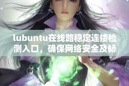 lubuntu在线路稳定连接检测入口，确保网络安全及畅通