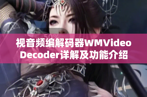 视音频编解码器WMVideoDecoder详解及功能介绍