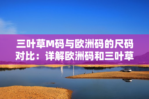 三叶草M码与欧洲码的尺码对比：详解欧洲码和三叶草M码的差异