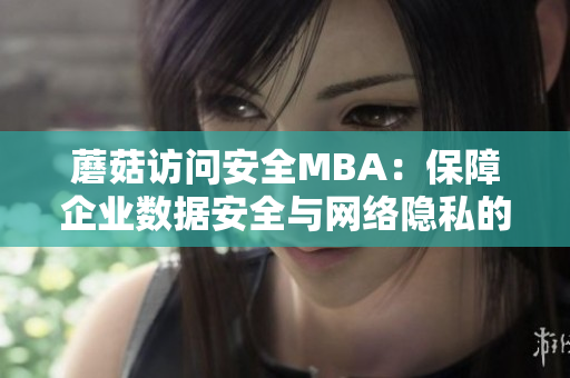 蘑菇访问安全MBA：保障企业数据安全与网络隐私的专业管理课程