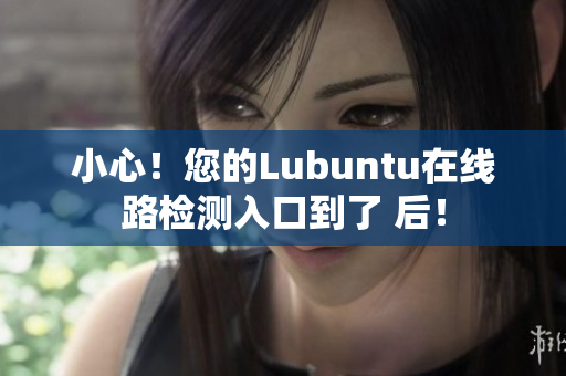 小心！您的Lubuntu在线路检测入口到了 后！