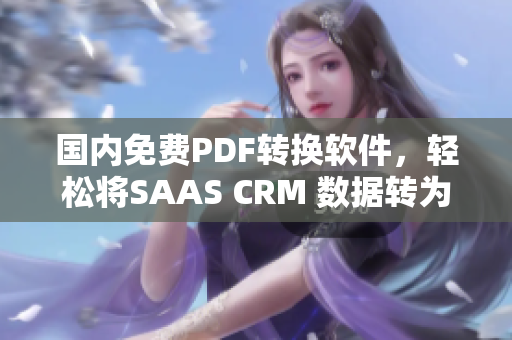 国内免费PDF转换软件，轻松将SAAS CRM 数据转为PDF格式