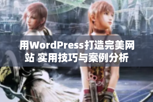 用WordPress打造完美网站 实用技巧与案例分析