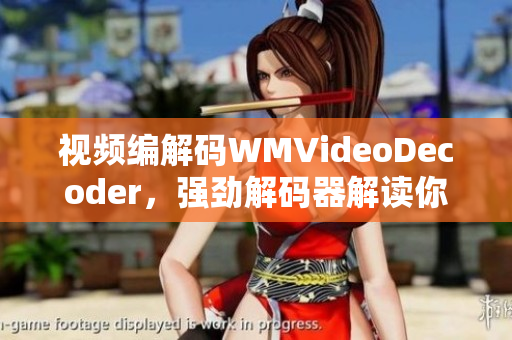 视频编解码WMVideoDecoder，强劲解码器解读你的视听享受