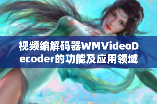 视频编解码器WMVideoDecoder的功能及应用领域详解